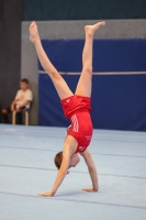 Thumbnail - Brandenburg - Anton Gerards - Artistic Gymnastics - 2022 - DJM Goslar - Participants - AK 13 und 14 02050_07141.jpg