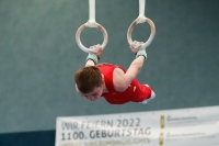 Thumbnail - Brandenburg - Artem Yarovyi - Спортивная гимнастика - 2022 - DJM Goslar - Participants - AK 13 und 14 02050_07265.jpg