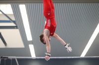 Thumbnail - Brandenburg - Artem Yarovyi - Спортивная гимнастика - 2022 - DJM Goslar - Participants - AK 13 und 14 02050_07290.jpg