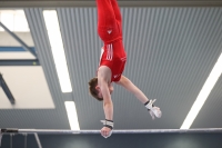 Thumbnail - Brandenburg - Artem Yarovyi - Ginnastica Artistica - 2022 - DJM Goslar - Participants - AK 13 und 14 02050_07290.jpg