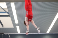 Thumbnail - Brandenburg - Artem Yarovyi - Спортивная гимнастика - 2022 - DJM Goslar - Participants - AK 13 und 14 02050_07291.jpg