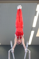 Thumbnail - Brandenburg - Artem Yarovyi - Спортивная гимнастика - 2022 - DJM Goslar - Participants - AK 13 und 14 02050_07414.jpg