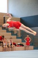 Thumbnail - Brandenburg - Artem Yarovyi - Спортивная гимнастика - 2022 - DJM Goslar - Participants - AK 13 und 14 02050_07442.jpg