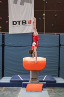 Thumbnail - Brandenburg - Noah Beetz - Спортивная гимнастика - 2022 - DJM Goslar - Participants - AK 13 und 14 02050_08779.jpg