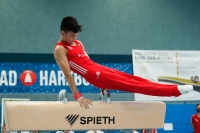 Thumbnail - Brandenburg - Paul Doan Tran - Спортивная гимнастика - 2022 - DJM Goslar - Participants - AK 13 und 14 02050_08974.jpg