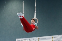 Thumbnail - Brandenburg - Philip Logk - Artistic Gymnastics - 2022 - DJM Goslar - Participants - AK 13 und 14 02050_09058.jpg