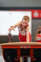 Thumbnail - NRW - Ruben Kupferoth - Gymnastique Artistique - 2022 - DJM Goslar - Participants - AK 13 und 14 02050_10990.jpg