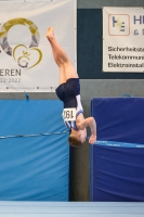 Thumbnail - Sachsen - Dennis Wirz - Artistic Gymnastics - 2022 - DJM Goslar - Participants - AK 13 und 14 02050_11397.jpg