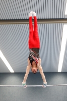 Thumbnail - Sachsen - Taimur Abdullah - Gymnastique Artistique - 2022 - DJM Goslar - Participants - AK 13 und 14 02050_11475.jpg