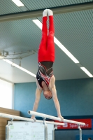 Thumbnail - Sachsen - Taimur Abdullah - Gymnastique Artistique - 2022 - DJM Goslar - Participants - AK 13 und 14 02050_11518.jpg