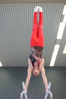 Thumbnail - Sachsen - Taimur Abdullah - Gymnastique Artistique - 2022 - DJM Goslar - Participants - AK 13 und 14 02050_11563.jpg