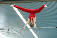 Thumbnail - Brandenburg - Felix Seemann - Спортивная гимнастика - 2022 - DJM Goslar - Participants - AK 15 und 16 02050_16336.jpg