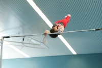 Thumbnail - Sachsen - Arthur Bespaluk - Artistic Gymnastics - 2022 - DJM Goslar - Participants - AK 15 und 16 02050_16376.jpg