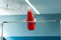 Thumbnail - Hessen - Jukka Nissinen - Artistic Gymnastics - 2022 - DJM Goslar - Participants - AK 15 und 16 02050_16801.jpg