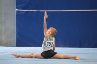 Thumbnail - Sachsen-Anhalt - Travis Pichler - Artistic Gymnastics - 2022 - DJM Goslar - Participants - AK 15 und 16 02050_16875.jpg