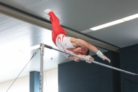 Thumbnail - NRW - Pavel Kostiukhin - Gymnastique Artistique - 2022 - DJM Goslar - Participants - AK 17 und 18 02050_20837.jpg