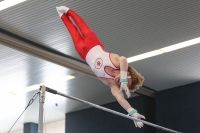 Thumbnail - Participants - Спортивная гимнастика - 2022 - DJM Goslar 02050_22786.jpg