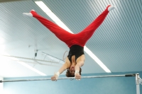 Thumbnail - AK 17 und 18 - Gymnastique Artistique - 2022 - DJM Goslar - Participants 02050_23004.jpg
