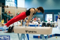Thumbnail - Participants - Спортивная гимнастика - 2022 - DJM Goslar 02050_23098.jpg