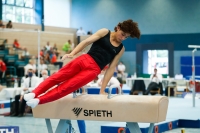 Thumbnail - Participants - Спортивная гимнастика - 2022 - DJM Goslar 02050_23107.jpg