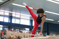Thumbnail - AK 17 und 18 - Artistic Gymnastics - 2022 - DJM Goslar - Participants 02050_23120.jpg