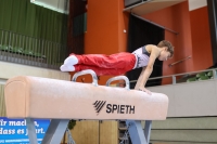 Thumbnail - JT III - German Chebotarev - Спортивная гимнастика - 2022 - egWohnen JuniorsTrophy - Participants - Berlin 02051_01310.jpg