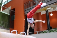 Thumbnail - Participants - Gymnastique Artistique - 2022 - egWohnen JuniorsTrophy 02051_01318.jpg