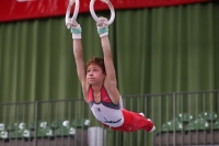Thumbnail - JT III - German Chebotarev - Artistic Gymnastics - 2022 - egWohnen JuniorsTrophy - Participants - Berlin 02051_01386.jpg