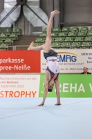 Thumbnail - JT III - Johannes Gruse - Спортивная гимнастика - 2022 - egWohnen JuniorsTrophy - Participants - Berlin 02051_01539.jpg