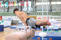 Thumbnail - Cottbus - Спортивная гимнастика - 2022 - egWohnen JuniorsTrophy - Participants 02051_01640.jpg