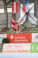 Thumbnail - Cottbus - Спортивная гимнастика - 2022 - egWohnen JuniorsTrophy - Participants 02051_01807.jpg
