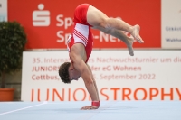 Thumbnail - JT I - Leon Hannes Pfeil - Gymnastique Artistique - 2022 - egWohnen JuniorsTrophy - Participants - Cottbus 02051_02001.jpg