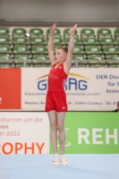 Thumbnail - JT II - Felix Seemann - Gymnastique Artistique - 2022 - egWohnen JuniorsTrophy - Participants - Cottbus 02051_02260.jpg