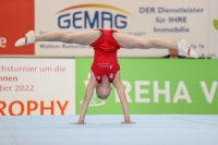 Thumbnail - JT II - Felix Seemann - Gymnastique Artistique - 2022 - egWohnen JuniorsTrophy - Participants - Cottbus 02051_02262.jpg
