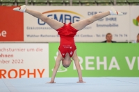 Thumbnail - JT II - Felix Seemann - Gymnastique Artistique - 2022 - egWohnen JuniorsTrophy - Participants - Cottbus 02051_02263.jpg