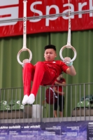 Thumbnail - JT II - Paul Doan Tran - Artistic Gymnastics - 2022 - egWohnen JuniorsTrophy - Participants - Cottbus 02051_02676.jpg