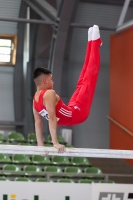 Thumbnail - JT II - Paul Doan Tran - Artistic Gymnastics - 2022 - egWohnen JuniorsTrophy - Participants - Cottbus 02051_02692.jpg