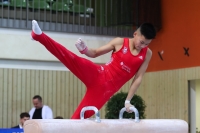 Thumbnail - JT II - Paul Doan Tran - Artistic Gymnastics - 2022 - egWohnen JuniorsTrophy - Participants - Cottbus 02051_02694.jpg