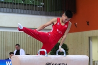 Thumbnail - JT II - Paul Doan Tran - Artistic Gymnastics - 2022 - egWohnen JuniorsTrophy - Participants - Cottbus 02051_02695.jpg