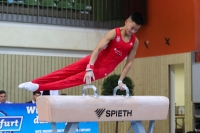 Thumbnail - JT II - Paul Doan Tran - Artistic Gymnastics - 2022 - egWohnen JuniorsTrophy - Participants - Cottbus 02051_02699.jpg