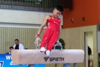 Thumbnail - JT II - Paul Doan Tran - Artistic Gymnastics - 2022 - egWohnen JuniorsTrophy - Participants - Cottbus 02051_02717.jpg