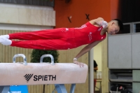 Thumbnail - JT II - Paul Doan Tran - Artistic Gymnastics - 2022 - egWohnen JuniorsTrophy - Participants - Cottbus 02051_02719.jpg