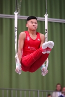 Thumbnail - JT II - Paul Doan Tran - Спортивная гимнастика - 2022 - egWohnen JuniorsTrophy - Participants - Cottbus 02051_02799.jpg