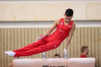 Thumbnail - JT II - Paul Doan Tran - Artistic Gymnastics - 2022 - egWohnen JuniorsTrophy - Participants - Cottbus 02051_02819.jpg