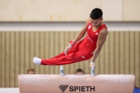 Thumbnail - JT II - Paul Doan Tran - Artistic Gymnastics - 2022 - egWohnen JuniorsTrophy - Participants - Cottbus 02051_02828.jpg