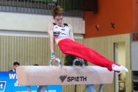 Thumbnail - JT II - Mika Wagner - Gymnastique Artistique - 2022 - egWohnen JuniorsTrophy - Participants - Germany 02051_04649.jpg