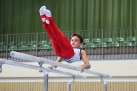 Thumbnail - JT III - Matvey Fokin - Gymnastique Artistique - 2022 - egWohnen JuniorsTrophy - Participants - Germany 02051_04924.jpg