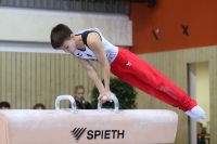 Thumbnail - JT III - Matvey Fokin - Gymnastique Artistique - 2022 - egWohnen JuniorsTrophy - Participants - Germany 02051_04941.jpg