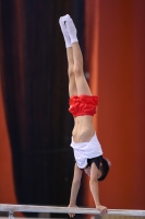 Thumbnail - JT III - Matvey Fokin - Artistic Gymnastics - 2022 - egWohnen JuniorsTrophy - Participants - Germany 02051_04962.jpg