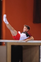 Thumbnail - JT III - Matvey Fokin - Gymnastique Artistique - 2022 - egWohnen JuniorsTrophy - Participants - Germany 02051_04969.jpg
